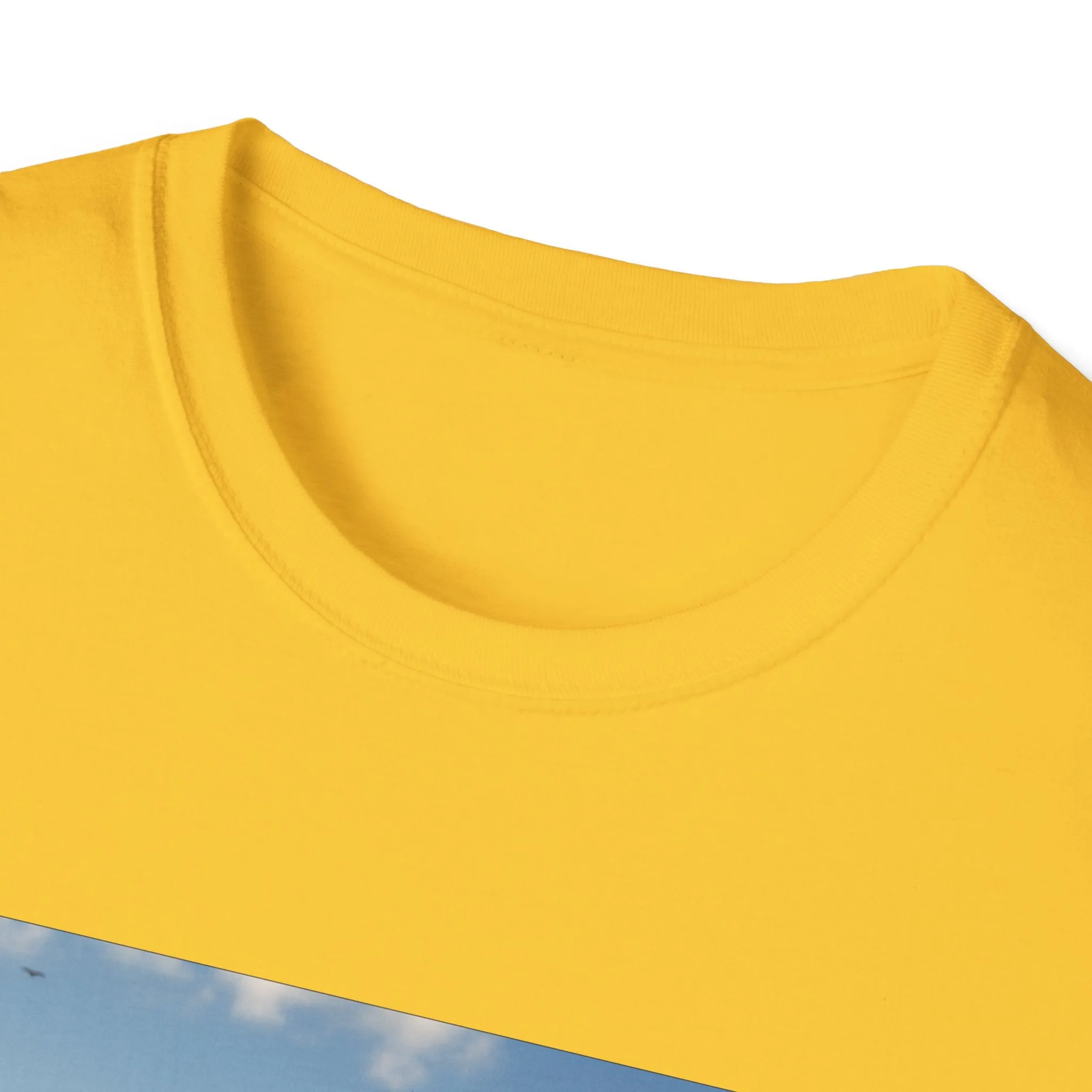 Unisex Softstyle T-Shirt-Winnie The Pooh-Valentines Day